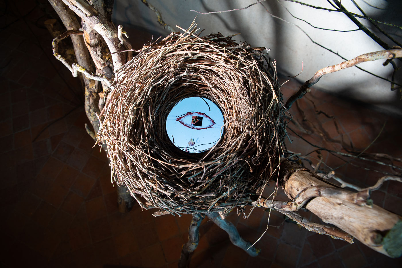 installation art contemporain vidéo LES NIDS Chateau Fougères-sur-bièvre